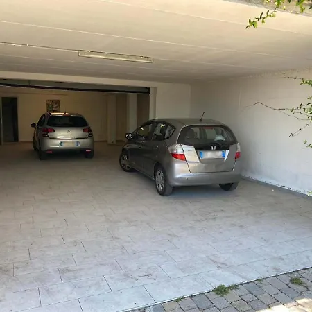 Palmito
