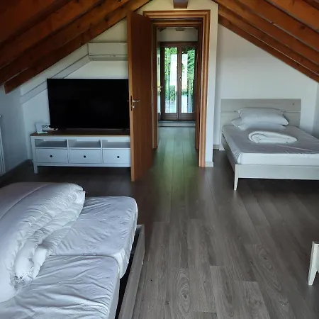 Palmito * באוונו